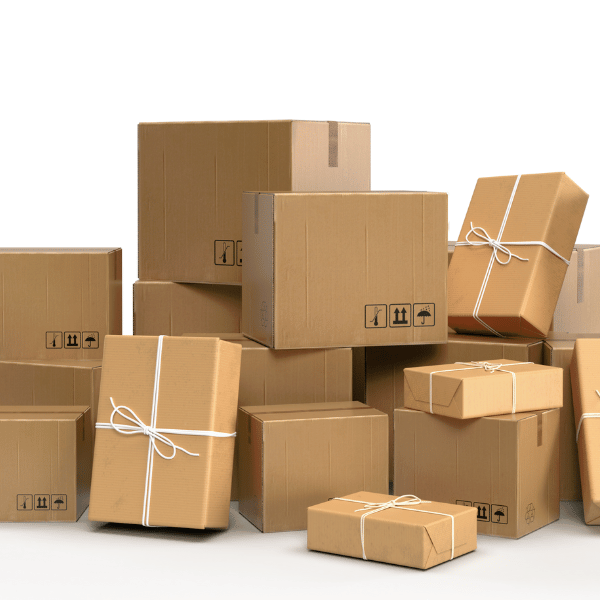 Bulk Orders & Delivery